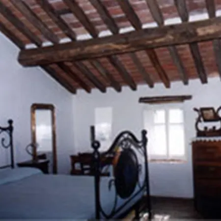 Rustico Sara * Molazzana